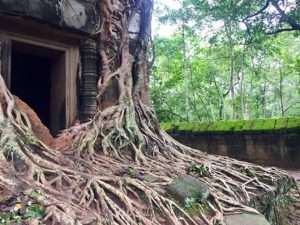 Beng Mealea temple