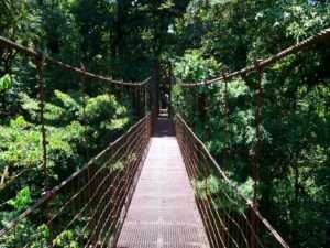 Pont suspendu à Monteverde