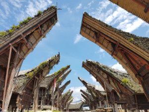 Sulawesi - Pays Toraja - Maisons Traditionnelles