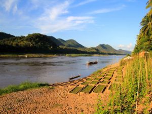 Mekong