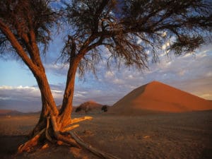 Dunes Sossusvlei