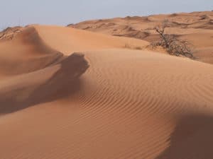 Wahiba Sands