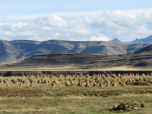 Entre Puno et Cuzco