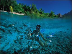 Snorkeling Bora