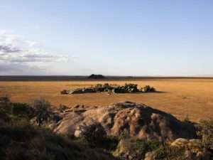 Namiri Plains