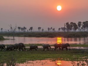 Selous river