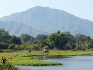 Chongwe River