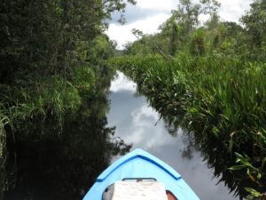 Kalimantan - croisière