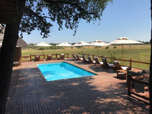 Lodge NXABEGA moremi