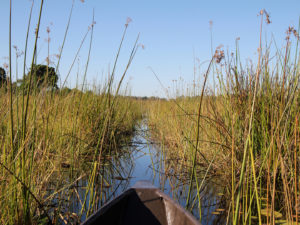 mokoro Okavango