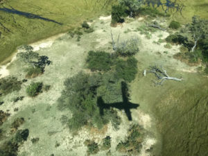 survol Okavango