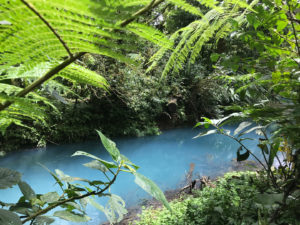 Région Tenorio - Rio Celeste