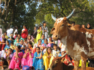 MaheswarFestival