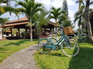 Borobudur - Hôtel Rumah Dharma