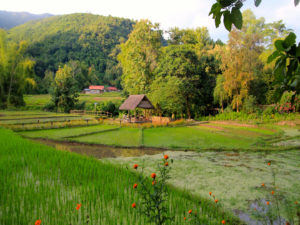 Kamu Lodge