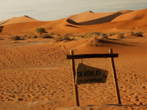 Dunes deadvlei