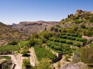 Jebel Akhdar