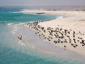 Ras Madraqah