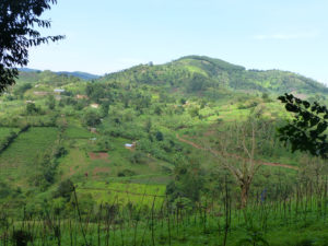 Bwindi