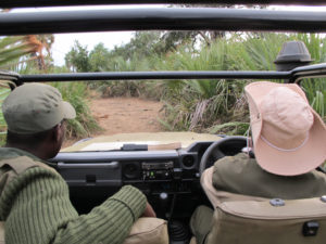 Safari lower Zambezi park