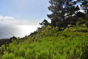 EDV-pays-acores