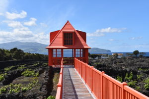 EDV-pays-acores