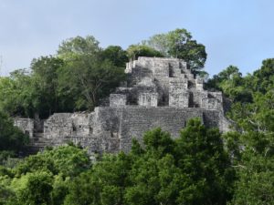 MEX-Maya