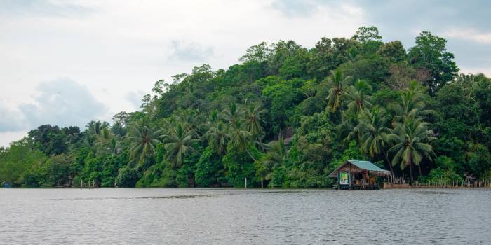 8268513-sri-lanka-4580990_1280