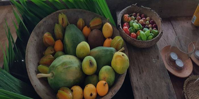 COL-Amazonie-fruits