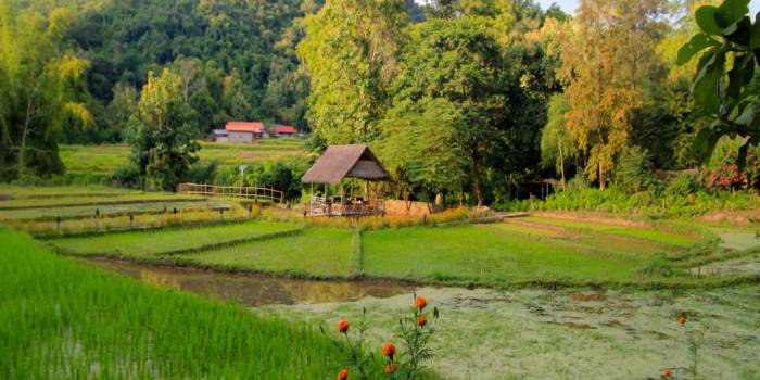 LA-Kamu-Lodge-1024x768