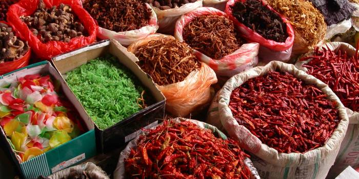 MINOLTA DIGITAL CAMERA