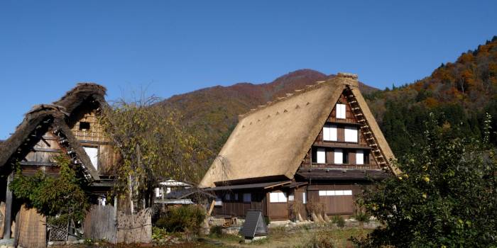 Japon - novembre 2010