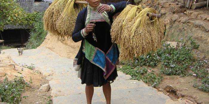 MINOLTA DIGITAL CAMERA