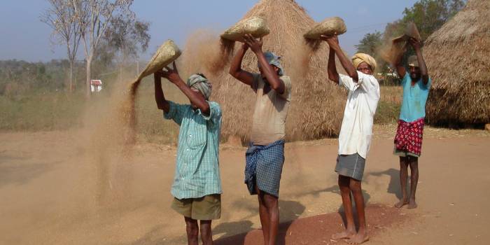 MINOLTA DIGITAL CAMERA