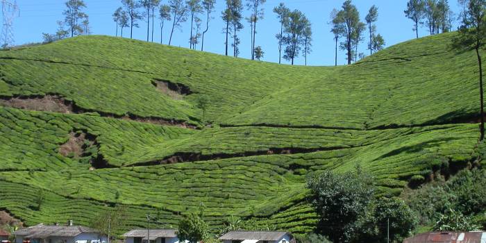 MINOLTA DIGITAL CAMERA