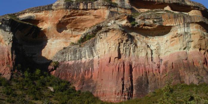 MINOLTA DIGITAL CAMERA