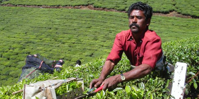 MINOLTA DIGITAL CAMERA