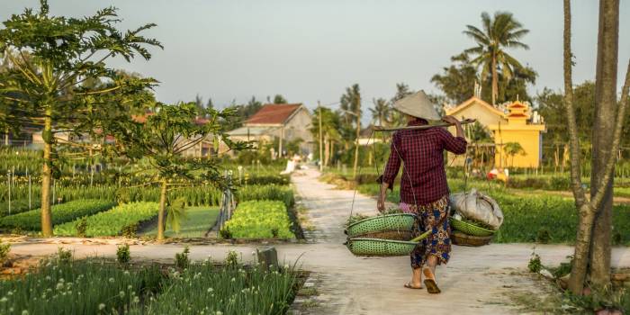 babel_hospitality-hoi-an-5494203_1280