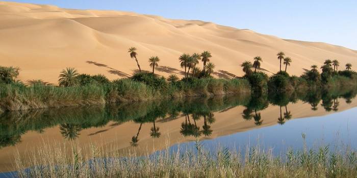 oasis-67549_1280