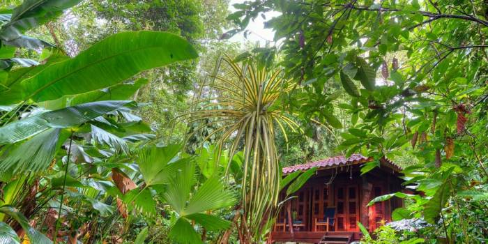 rooms-in-playa-nicuesa-rainforest-lodge-puerto-jimenez