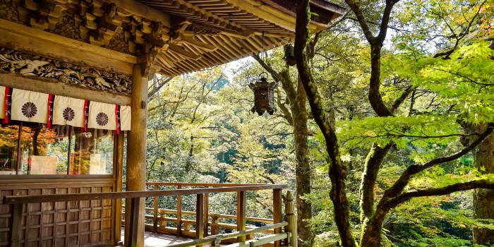 shell_ghostcage-japan-1805865_1920