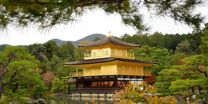 siamkop-kinkaku-ji-3995909_1920