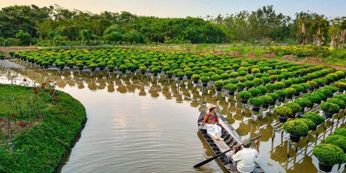 vietnguyenbui-farm-6948514_1280